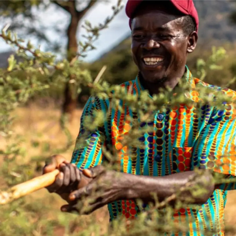 How We're Balancing Out Our Carbon Footprint